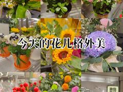 -鹿岛生活(熙地港店)