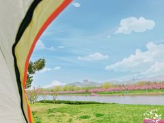 -羊亭河湿地公园