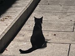 -烈士陵园(地铁站)