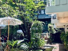 -Fern Forest Cafe