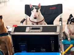 -汇金缪斯影城(八佰伴店)