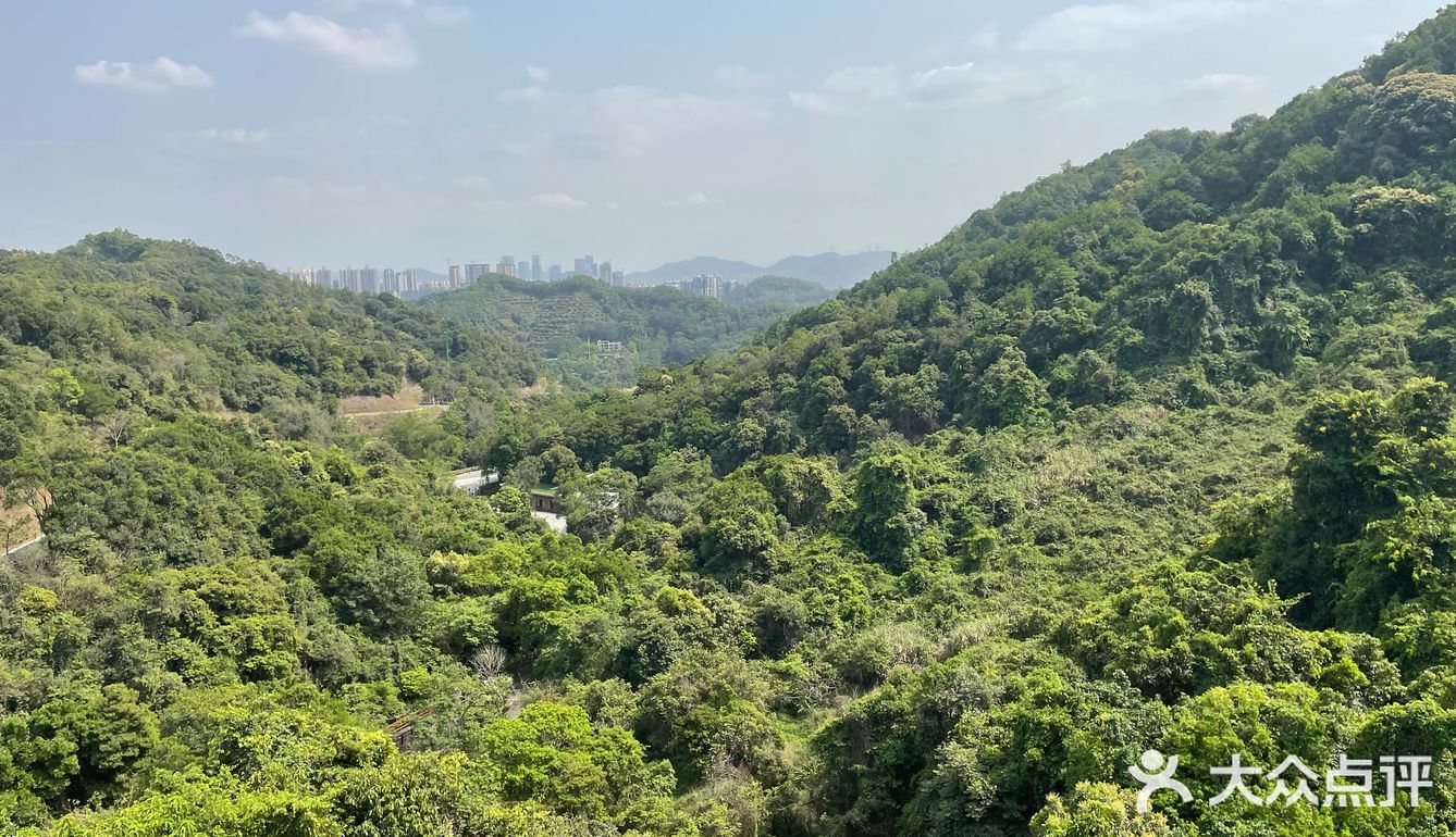 我们目的只是运动所以去的小阳台山