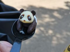 -昆明动物园