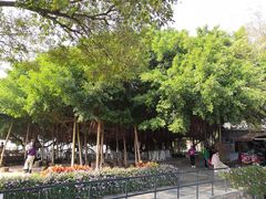 -胡里山炮台