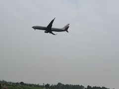 -空港花田景区