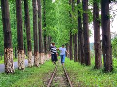 -黄海国家森林公园