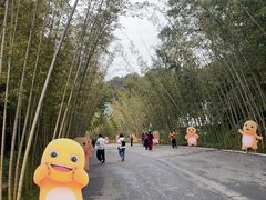 -婺源月亮湾