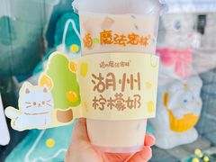 -猫的魔法密林(衣裳街店)