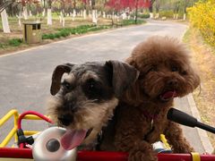 -永定河休闲森林公园