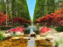 -东平国家森林公园