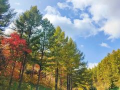 -塞罕坝国家级自然保护区