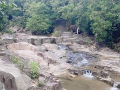 -广州白江湖森林公园