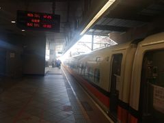 -文府路口(Taiwan High Speed Rail Zuoying Station)