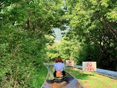 -富斯特索道