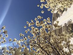 -首都师范大学科德学院