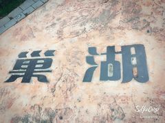 -合肥滨湖国家森林公园