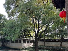-无锡惠山寺