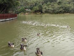 -广州白江湖森林公园