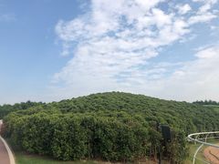 -迪茵湖田家舍生态农场