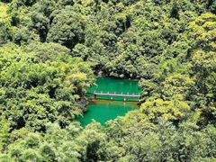 -鼎香皇高佬苏裹蒸粽