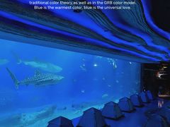 -珠海长隆海洋王国
