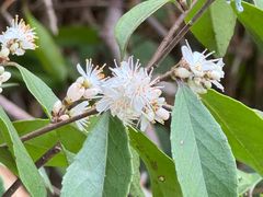 -青芝山风景名胜区