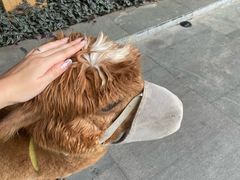 -南宁荔园维景国际酒店·荔园中餐厅