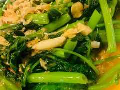 飞天空心菜-苏梅花园(群星城店)