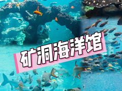 -长鹿旅游休博园