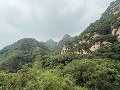 -大岭沟猕猴桃谷风景区