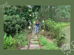 -合肥滨湖国家森林公园