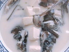 -全乐鱼馆·淳牌有机鱼直营店