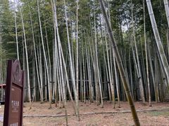 -陶祖圣境风景区