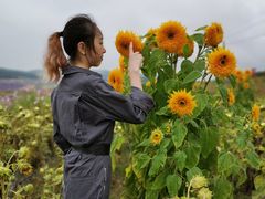 -草原天路(张北县)
