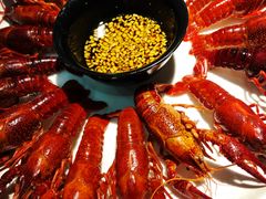 -新凯旋烧烤·燕姐千岛湖土菜