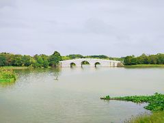 -申隆生态园-上海东方金融小镇