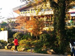 -茶颜悦色(岳麓山顶店)