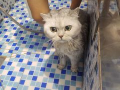 -FAELING PETS美天灵宠物(富力广场店)
