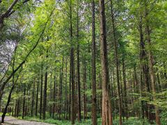 -小格里自然风景区