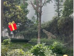 -江海肥牛(桃园南路店)