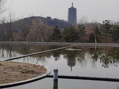 -永定河休闲森林公园