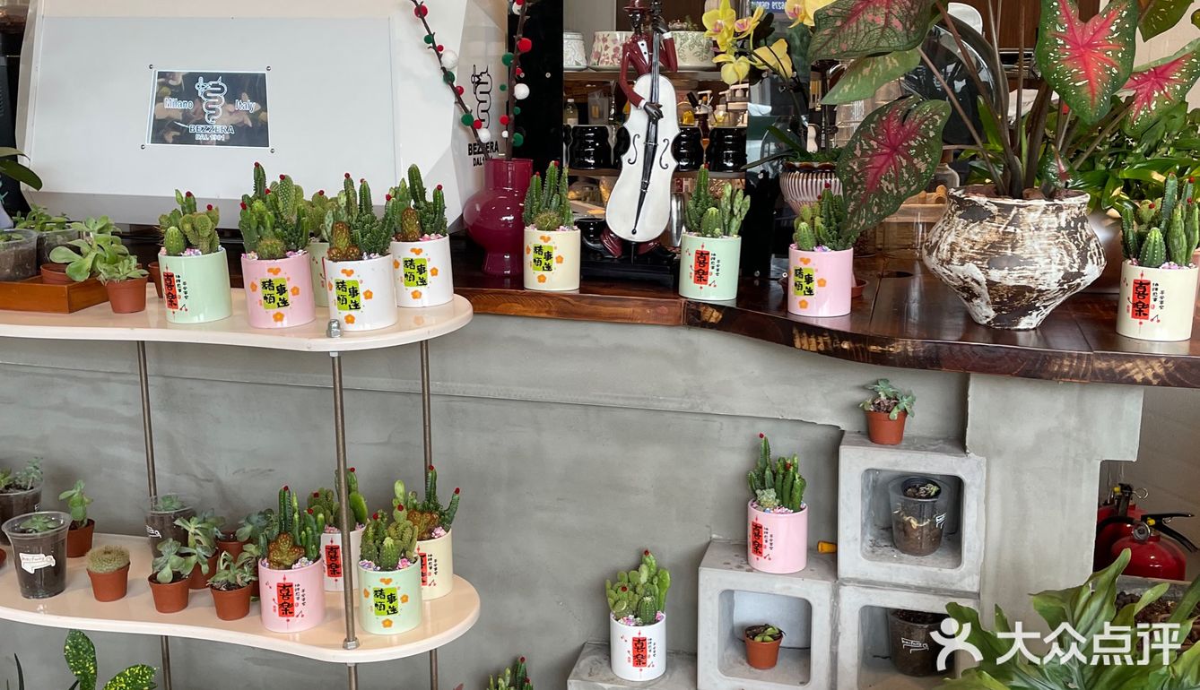 被绿植包围的咖啡店🌵🪴🎍🌿