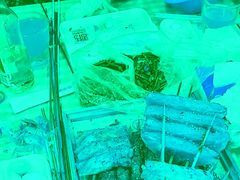 -可口香·非遗老号烧烤(南岗直营店)
