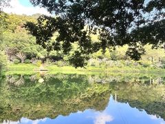 -广州市帽峰山景区