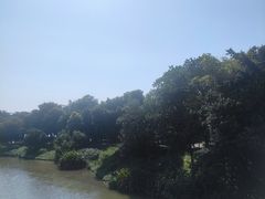 -海珠湖公园