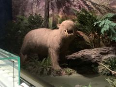 -湖南省地质博物馆