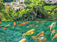 -雁荡山风景名胜区