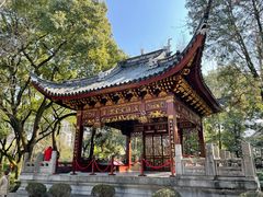 -汇龙潭