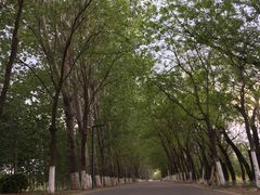 -东郊湿地公园