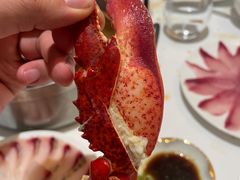 -京彩臻品火锅